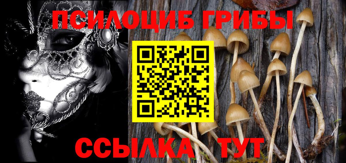 Усолье-Сибирское  Галлюциногенные грибы Magic Shrooms  Вход с VPN 